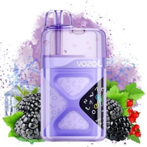 Vozol Neon 60000 Blackberry Ice - Vozol Vape Estonia